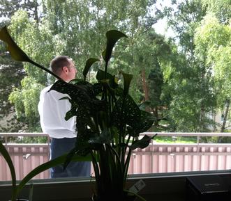 Room : Region Hessen für 2 Personen