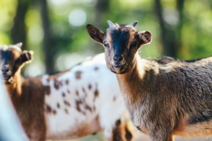 Ferienwohnung für 4 Personen