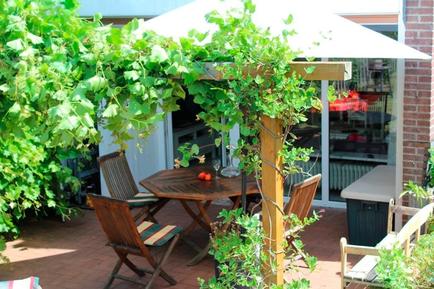 Gemütliches Ferienhaus : Region Schleswig-Holstein für 4 Personen