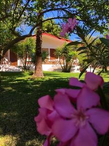  Für 4 Personen: Hübsches Apartment / Ferienwohnung in der Region Santa Maria Di Ricadi