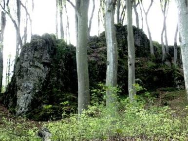 Ferienhaus für 5 Personen