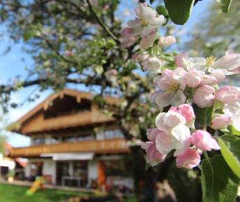 Bayern, Schliersee Ferienwohnung Bayern, Schliersee Ferienwohnung