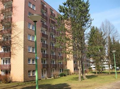 Gemütliches Ferienhaus : Region Altenau für 4 Personen