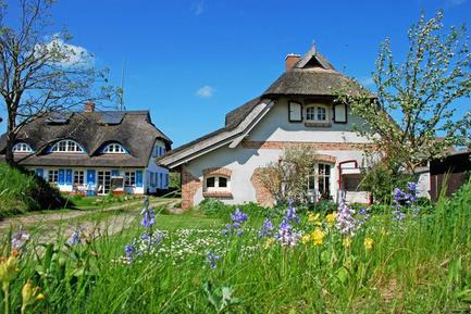  Für 4 Personen: Hübsches Apartment / Ferienwohnung in der Region Altensien