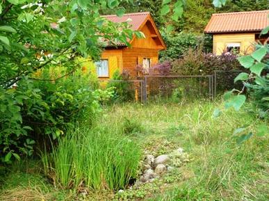  Für 3 Personen: Hübsches Apartment / Ferienwohnung in der Region Mecklenburg-Vorpommern