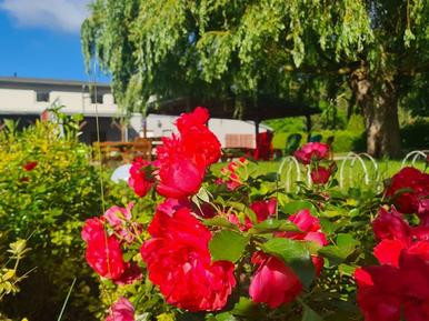  Für 3 Personen: Hübsches Apartment / Ferienwohnung in der Region Mecklenburg-Vorpommern
