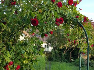  Für 3 Personen: Hübsches Apartment / Ferienwohnung in der Region Blankensee