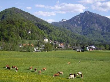  Für 5 Personen: Hübsches Apartment / Ferienwohnung in der Region Salzkammergut