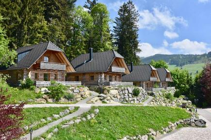 Gemütliches Ferienhaus : Region Feldberg (Region ) für 8 Personen