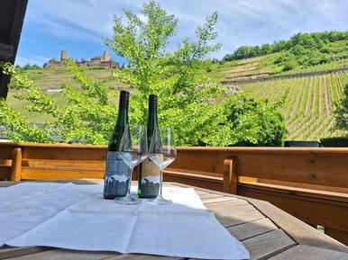  Für 4 Personen: Hübsches Apartment / Ferienwohnung in der Region Mosel-Saar-Ruwer
