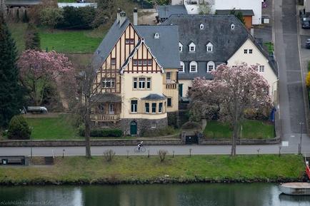  Für 4 Personen: Hübsches Apartment / Ferienwohnung in der Region Bernkastel-Wehlen