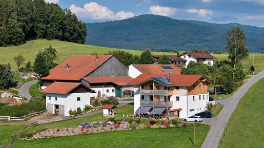  Für 3 Personen: Hübsches Apartment / Ferienwohnung in der Region Arnbruck