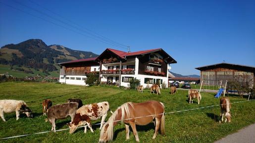  Für 5 Personen: Hübsches Apartment / Ferienwohnung in der Region Obermaiselstein-Am Goldbach