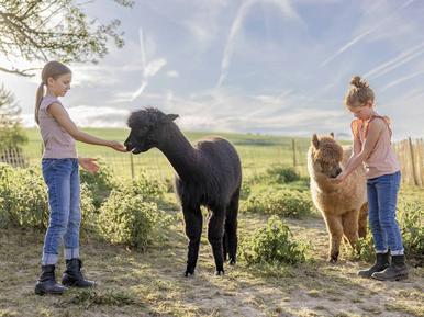 Gemütliches Ferienhaus : Region Rheinland-Pfalz für 7 Personen