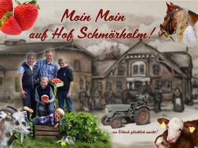 Für 3 Personen: Hübsches Apartment / Ferienwohnung in der Region Schleswig-Holstein