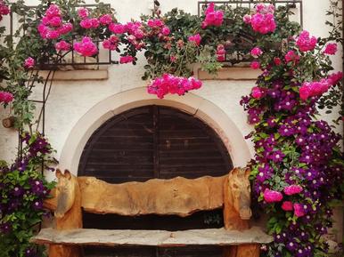  Für 4 Personen: Hübsches Apartment / Ferienwohnung in der Region Rheinland-Pfalz