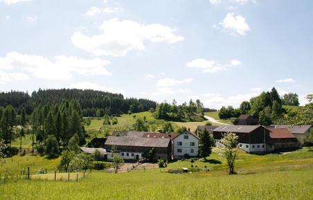  Für 6 Personen: Hübsches Apartment / Ferienwohnung in der Region Niederösterreich