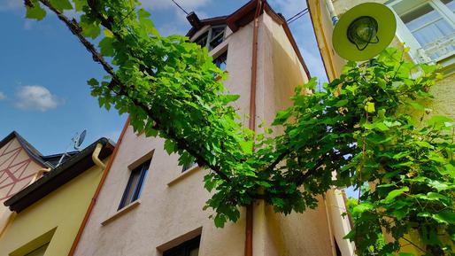 Gemütliches Ferienhaus : Region Mosel-Saar-Ruwer für 4 Personen