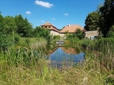  Für 3 Personen: Hübsches Apartment / Ferienwohnung in der Region Rhön