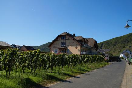  Für 2 Personen: Hübsches Apartment / Ferienwohnung in der Region Rheinland-Pfalz