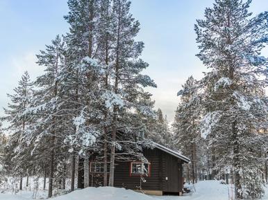 Finnisch Lappland Ferienhaus mit Hund