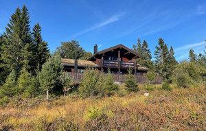Gemütliches Ferienhaus : Region Nissedal für 8 Personen