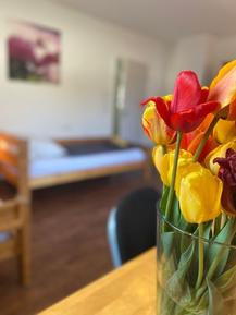  Für 2 Personen: Hübsches Apartment / Ferienwohnung in der Region Bad Krozingen-Hausen an der Möhlin