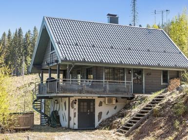 Finnische Seenplatte Ferienhaus mit Hund