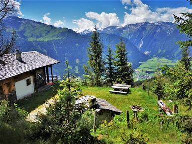 Gemütliches Ferienhaus : Region Ski-Arena Wildkogel für 8 Personen