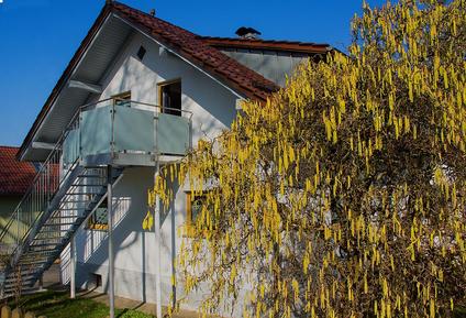  Für 3 Personen: Hübsches Apartment / Ferienwohnung in der Region Waldkirchen