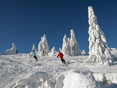  Für 6 Personen: Hübsches Apartment / Ferienwohnung in der Region Bayerischer Wald