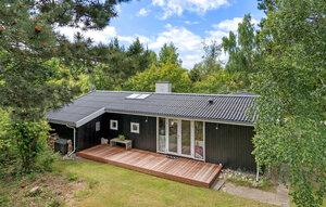 Gemütliches Ferienhaus : Region Djursland für 6 Personen