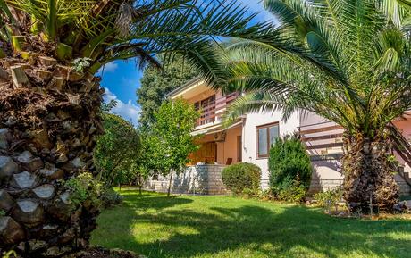 Ferienwohnung: Hund erlaubt Ferienwohnung: Hund erlaubt