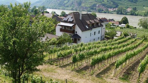  Für 5 Personen: Hübsches Apartment / Ferienwohnung in der Region Niederösterreich