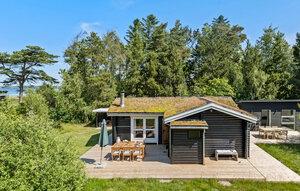 Gemütliches Ferienhaus : Region Højslev für 6 Personen