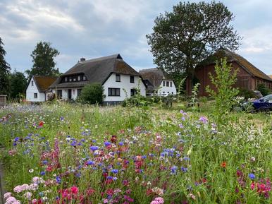  Für 6 Personen: Hübsches Apartment / Ferienwohnung in der Region Groß Zicker