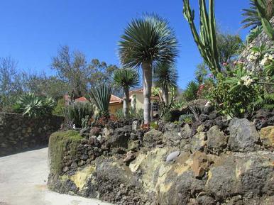 Gemütliches Ferienhaus : Region La Palma für 3 Personen