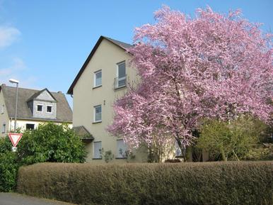  Für 2 Personen: Hübsches Apartment / Ferienwohnung in der Region Mosel-Saar-Ruwer