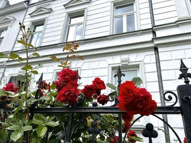  Für 2 Personen: Hübsches Apartment / Ferienwohnung in der Region Stralsund