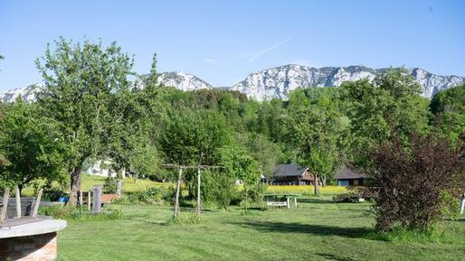  Für 4 Personen: Hübsches Apartment / Ferienwohnung in der Region Attersee