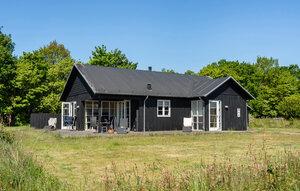 Gemütliches Ferienhaus : Region Nysted für 5 Personen
