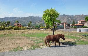 Gemütliches Ferienhaus : Region Gaggi für 12 Personen
