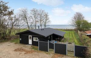 Gemütliches Ferienhaus : Region Bjert Strand für 6 Personen