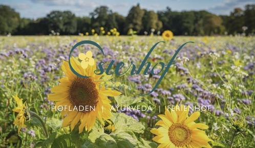 Gemütliches Ferienhaus : Region Dänschendorf auf Fehmarn für 7 Personen