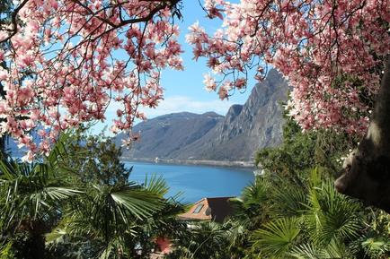  Für 3 Personen: Hübsches Apartment / Ferienwohnung in der Region Tessin