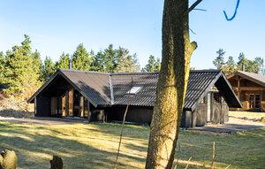 Gemütliches Ferienhaus : Region Stauningvej für 6 Personen