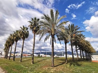  Für 5 Personen: Hübsches Apartment / Ferienwohnung in der Region La Seyne-sur-Mer