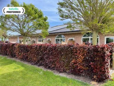  Für 5 Personen: Hübsches Apartment / Ferienwohnung in der Region Groede