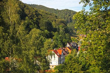  Für 4 Personen: Hübsches Apartment / Ferienwohnung in der Region Osterode am Harz-Lerbach