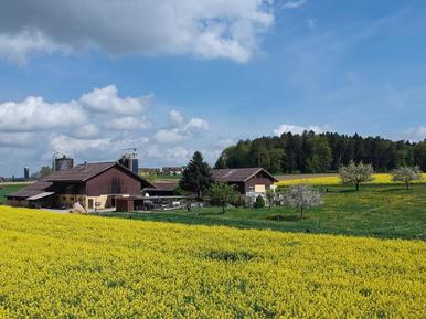  Für 5 Personen: Hübsches Apartment / Ferienwohnung in der Region Schweizer Mittelland